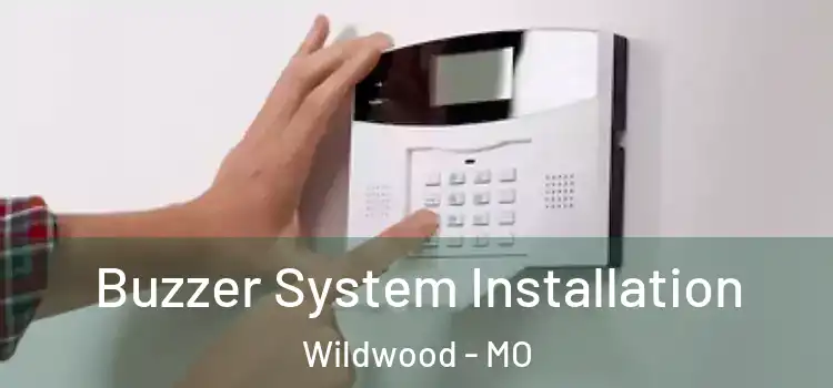 Buzzer System Installation Wildwood - MO