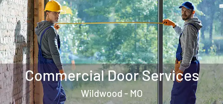 Commercial Door Services Wildwood - MO