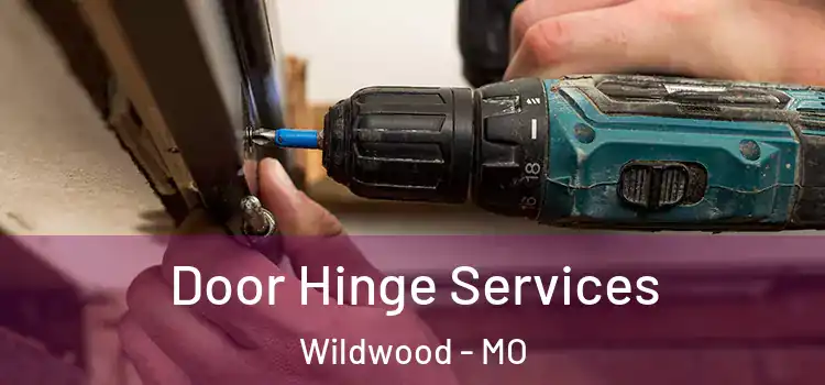 Door Hinge Services Wildwood - MO