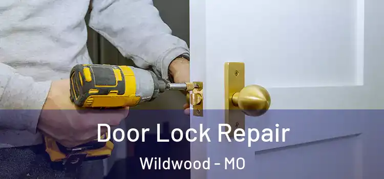 Door Lock Repair Wildwood - MO