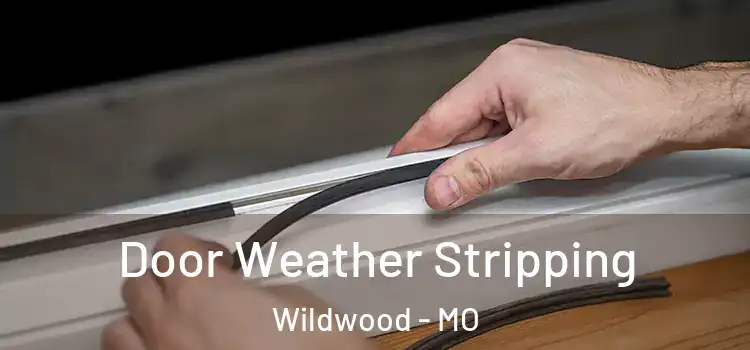 Door Weather Stripping Wildwood - MO