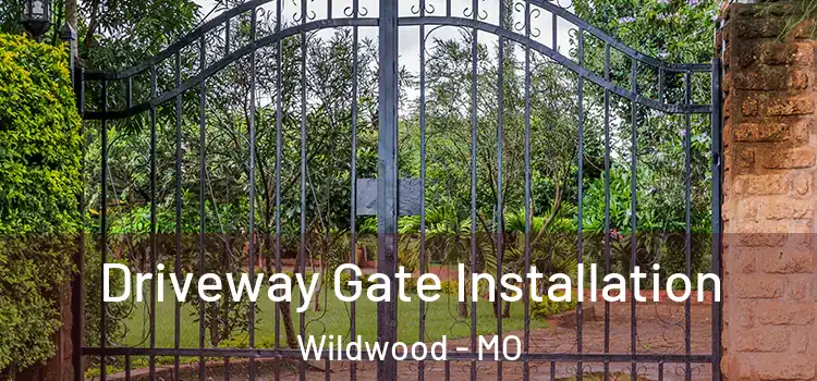 Driveway Gate Installation Wildwood - MO
