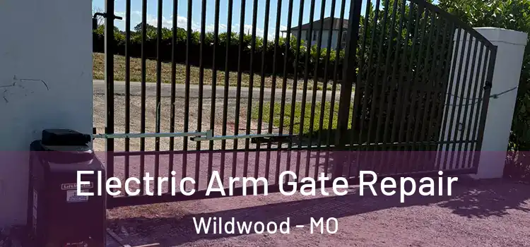 Electric Arm Gate Repair Wildwood - MO