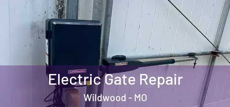 Electric Gate Repair Wildwood - MO