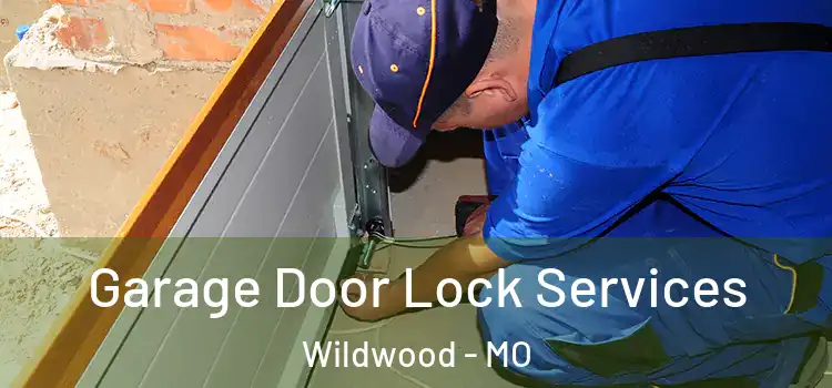 Garage Door Lock Services Wildwood - MO