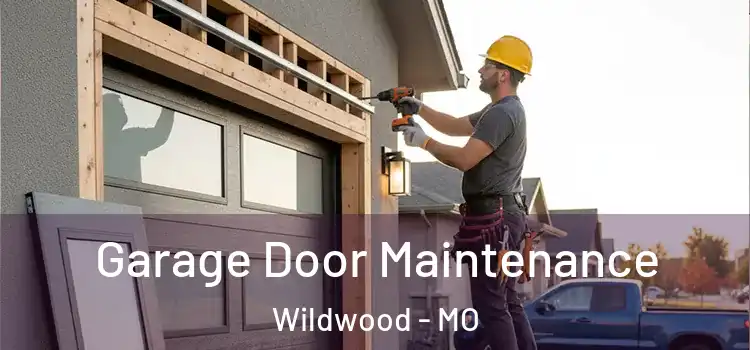Garage Door Maintenance Wildwood - MO