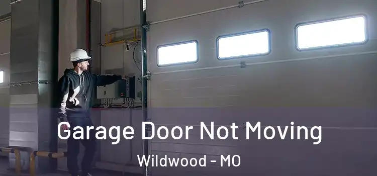  Garage Door Not Moving Wildwood - MO