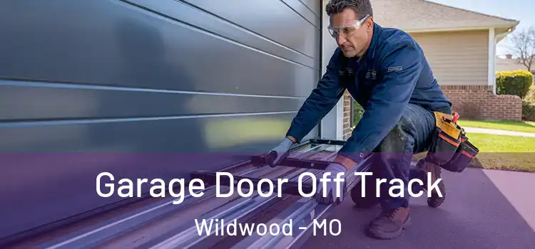  Garage Door Off Track Wildwood - MO