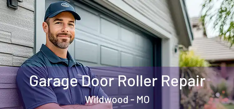  Garage Door Roller Repair Wildwood - MO
