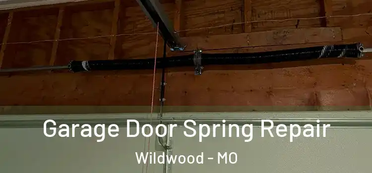  Garage Door Spring Repair Wildwood - MO