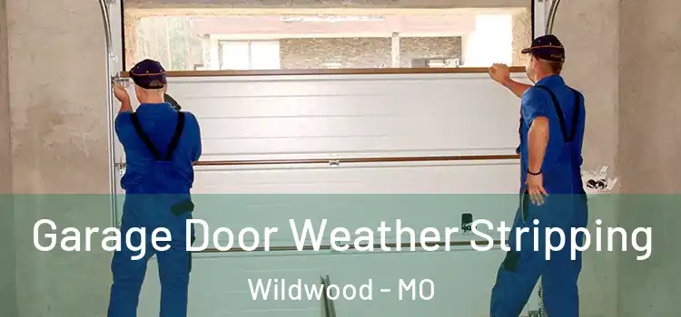  Garage Door Weather Stripping Wildwood - MO