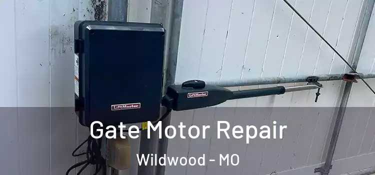 Gate Motor Repair Wildwood - MO