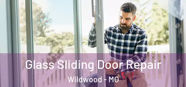 Glass Sliding Door Repair Wildwood - MO