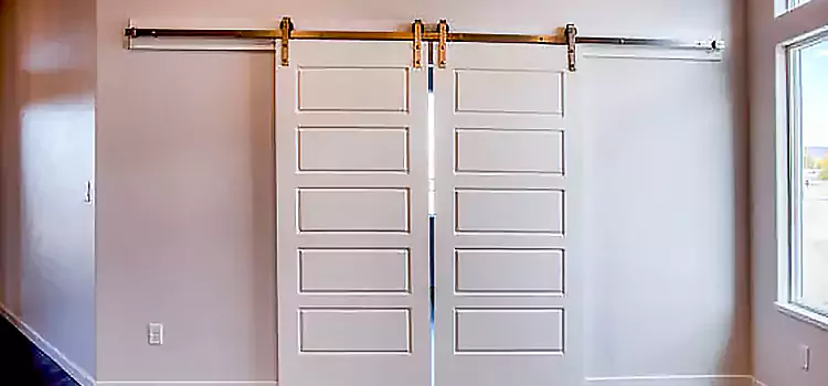 Glass Barn Door with Installation Hardware Kit Wildwood