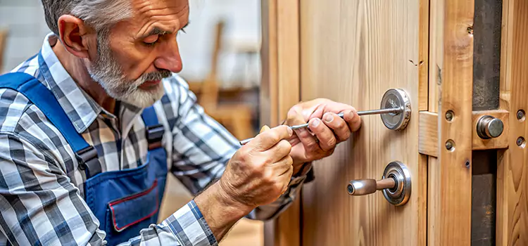 Mortise Replacement Lock Wildwood