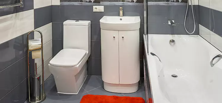 Hansgrohe Shaving Mirror Wildwood