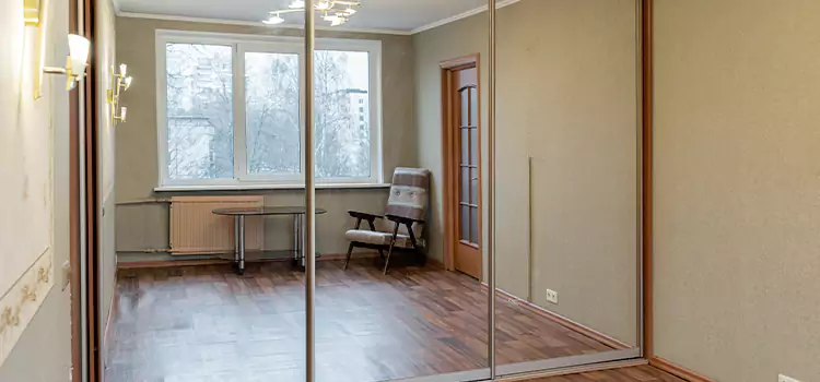 Mirror Closet Door Roller Replacement Wildwood