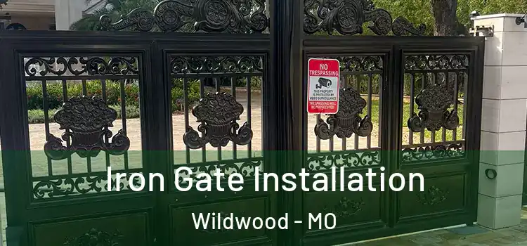 Iron Gate Installation Wildwood - MO