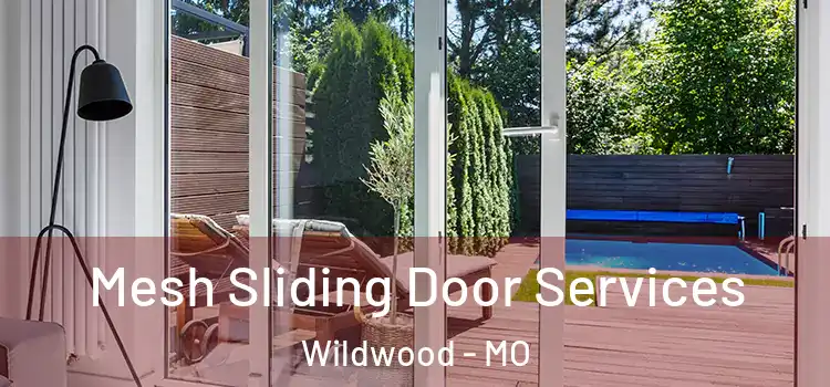  Mesh Sliding Door Services Wildwood - MO
