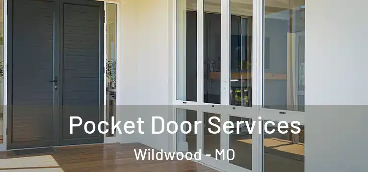  Pocket Door Services Wildwood - MO