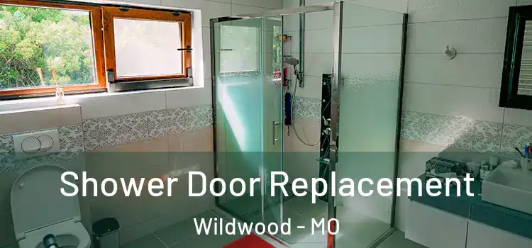  Shower Door Replacement Wildwood - MO
