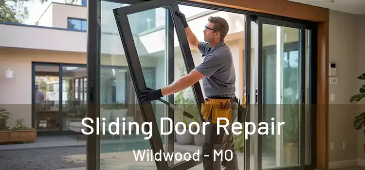 Sliding Door Repair Wildwood - MO