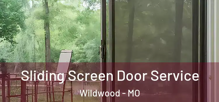 Sliding Screen Door Service Wildwood - MO