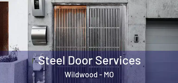Steel Door Services Wildwood - MO