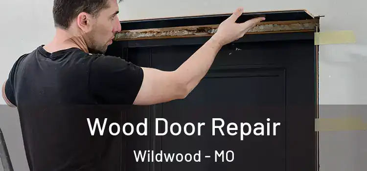  Wood Door Repair Wildwood - MO